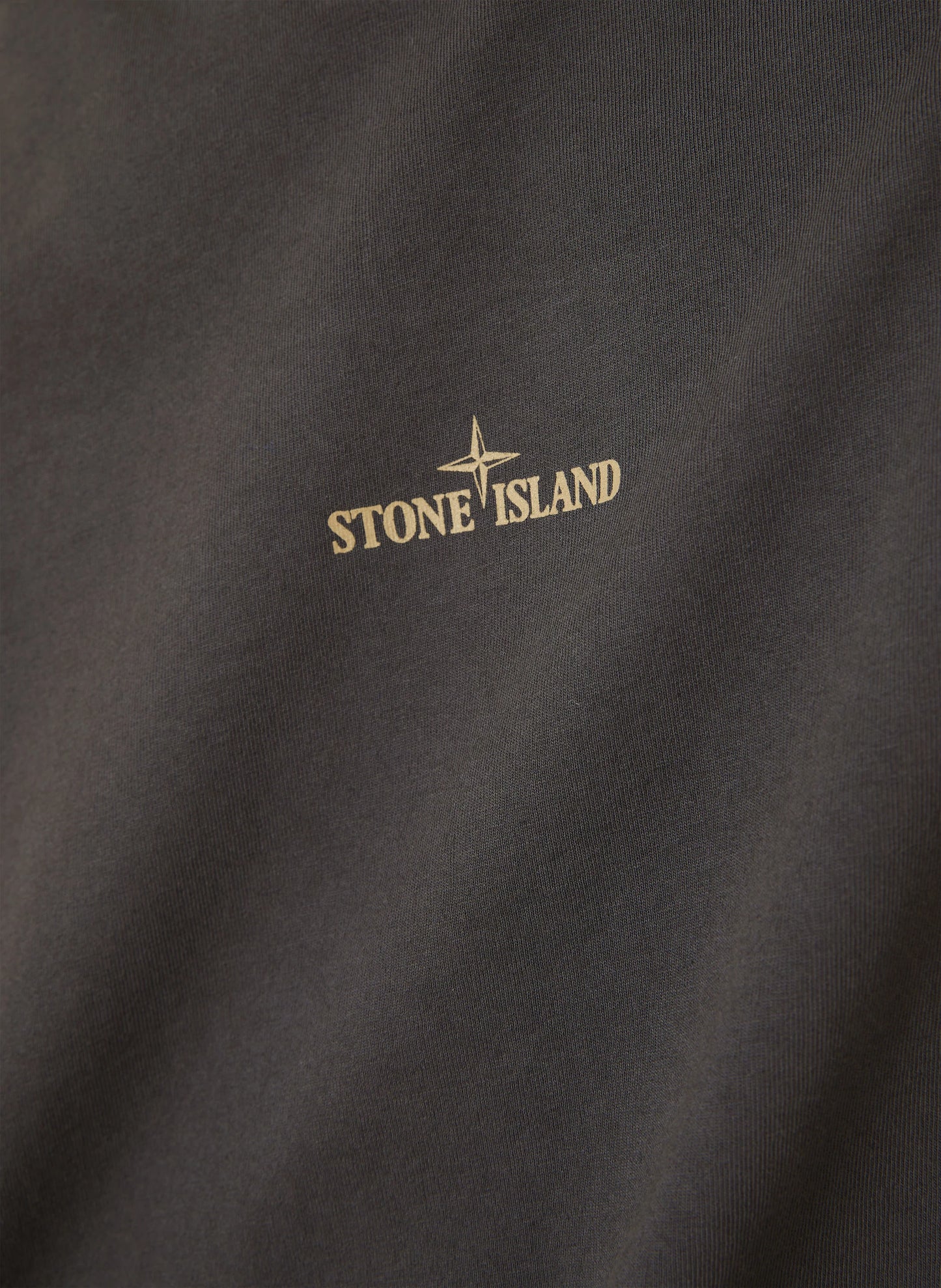 Футболка чоловіча Stone Island Combed Organic Cotton Jersey