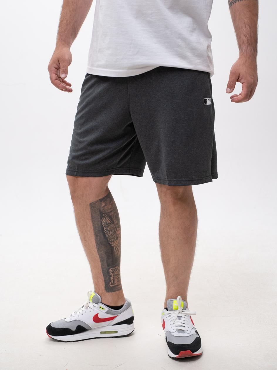 Шорти чоловічі Nike Authentic Collection Dri-Fit shorts