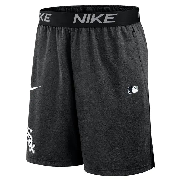 Шорти чоловічі Nike Authentic Collection Dri-Fit shorts