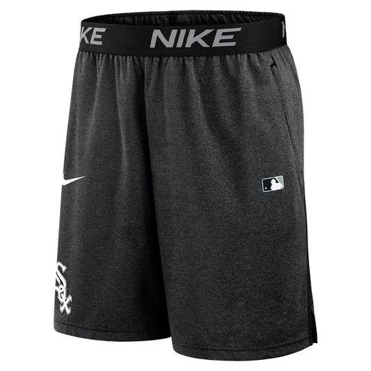 Шорти чоловічі Nike Authentic Collection Dri-Fit shorts