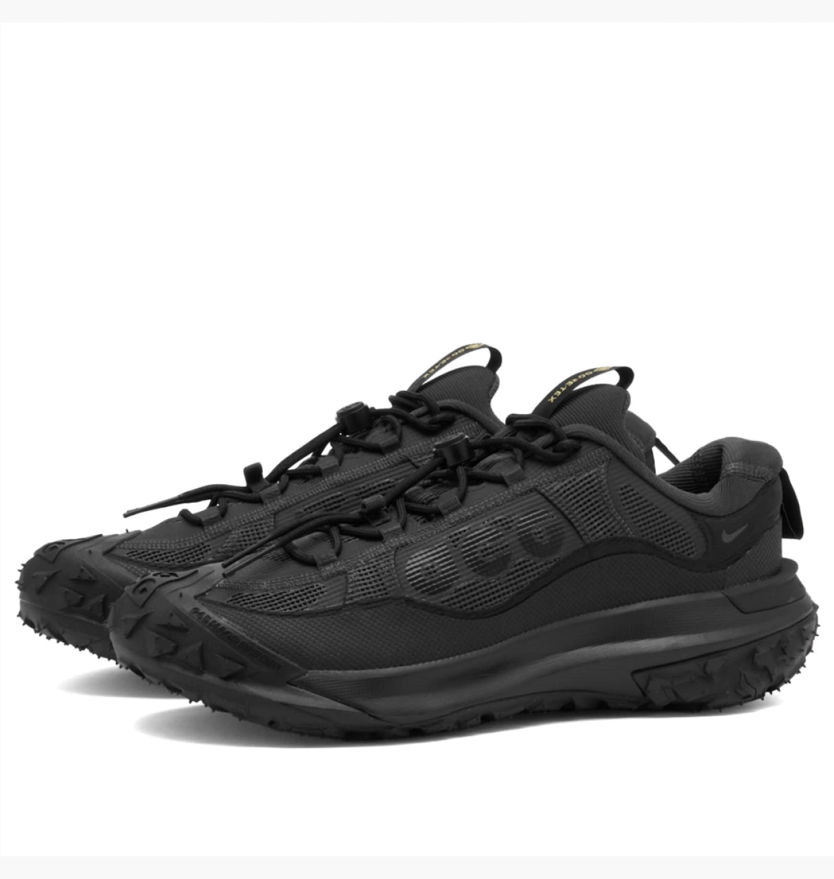 Кроссовки мужские Nike ACG Mountain Fly 2 Low Gore-Tex Black