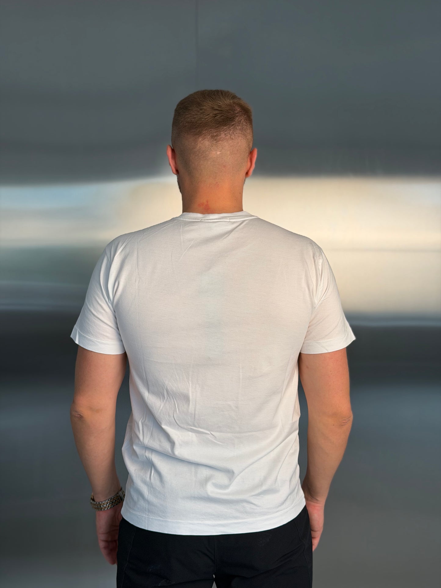 Футболка чоловіча Stone Island Logo T-Shirt in White