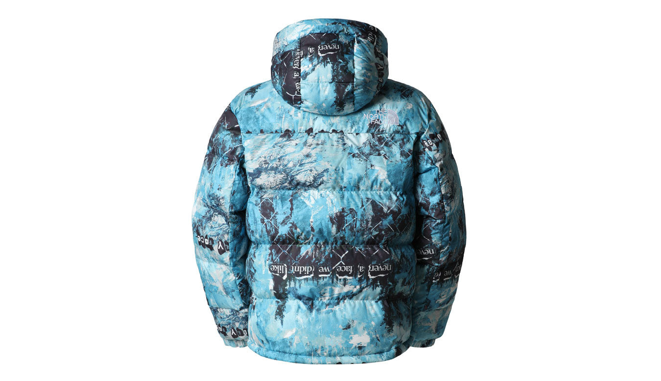 Куртка зимняя The North Face Himalayan Down Parka BUCNNVAFCPRNT