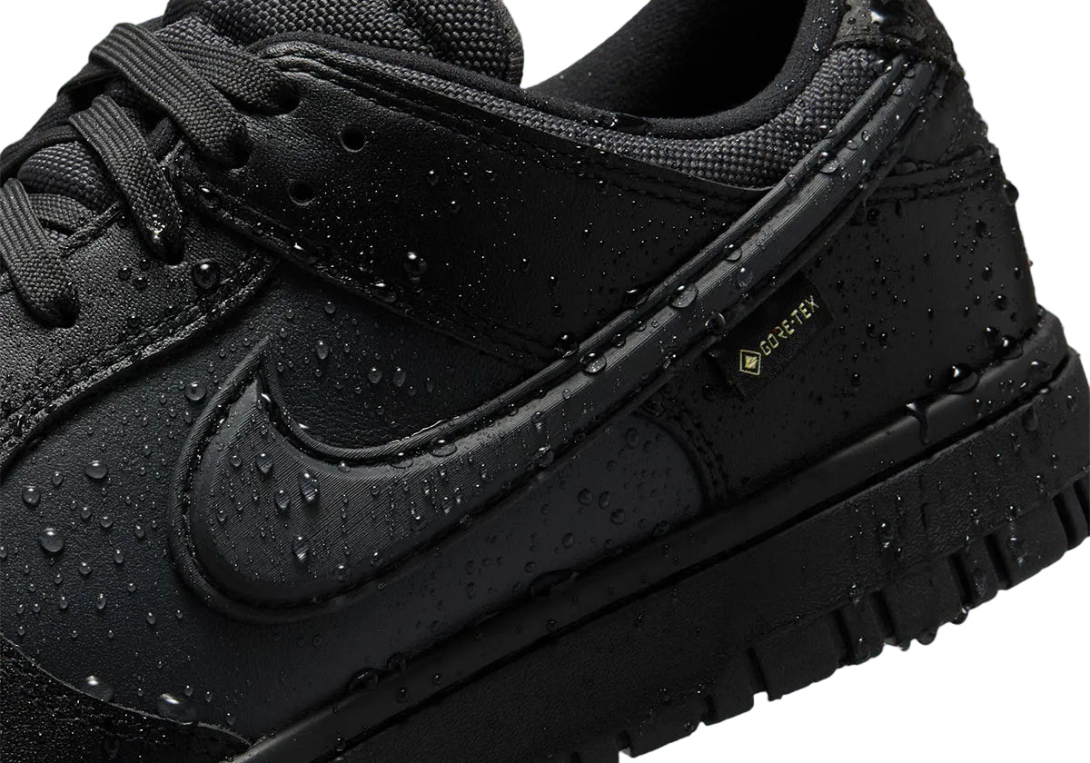 Кросівки чоловічі Nike Dunk Gore Tex