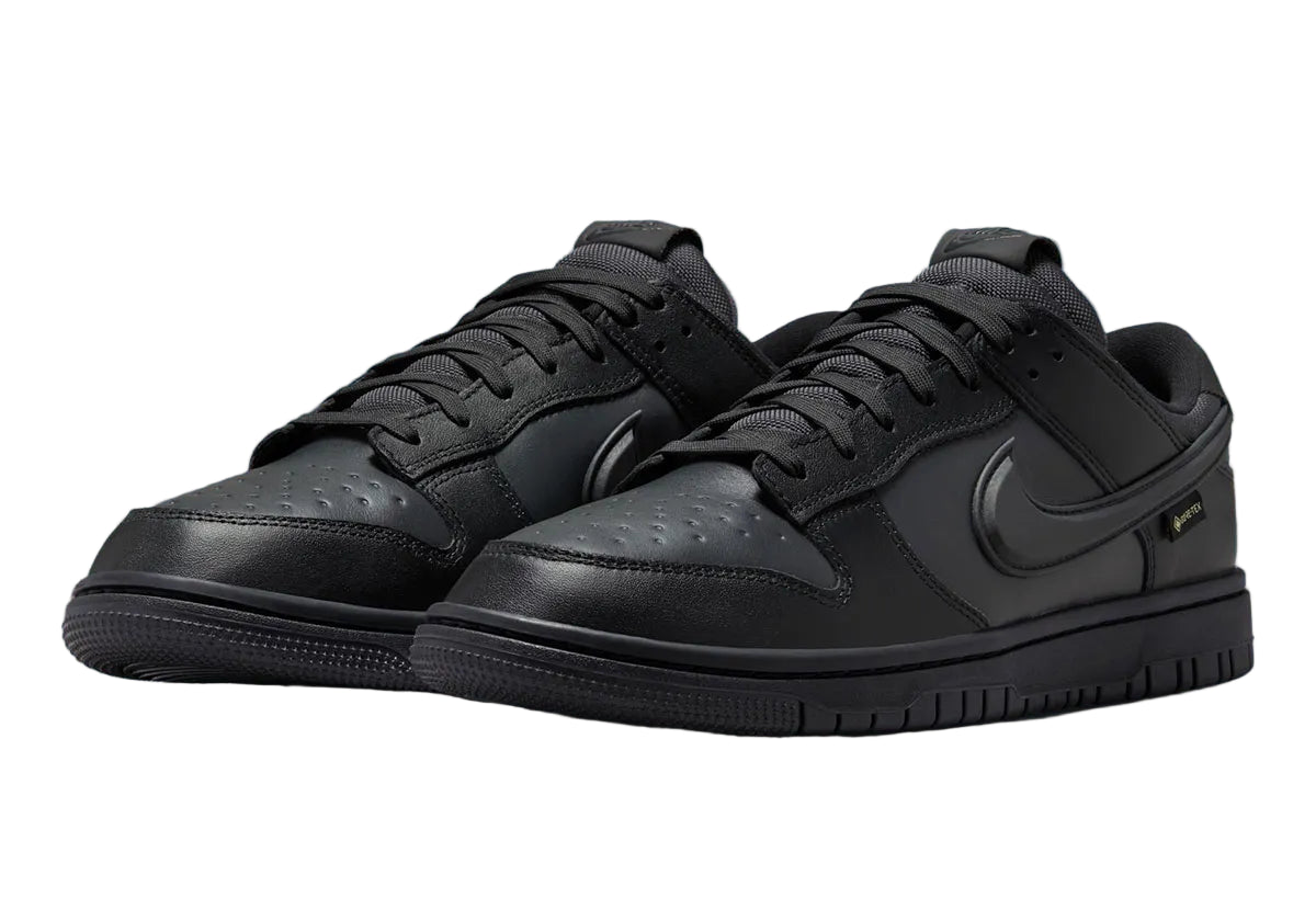 Кросівки чоловічі Nike Dunk Gore Tex